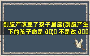 剖腹产改变了孩子星座(剖腹产生下的孩子命是 🦉 不是改 🐠 了)